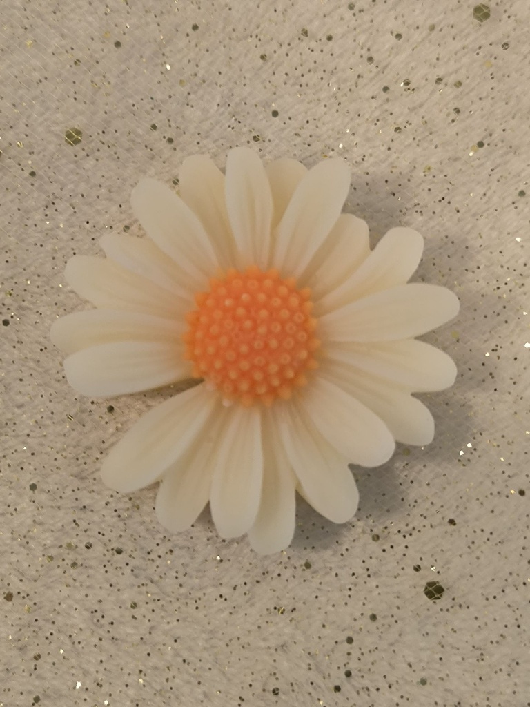 Marguerite blanche.jpg