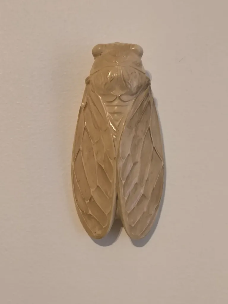 Cigale murale terre.webp