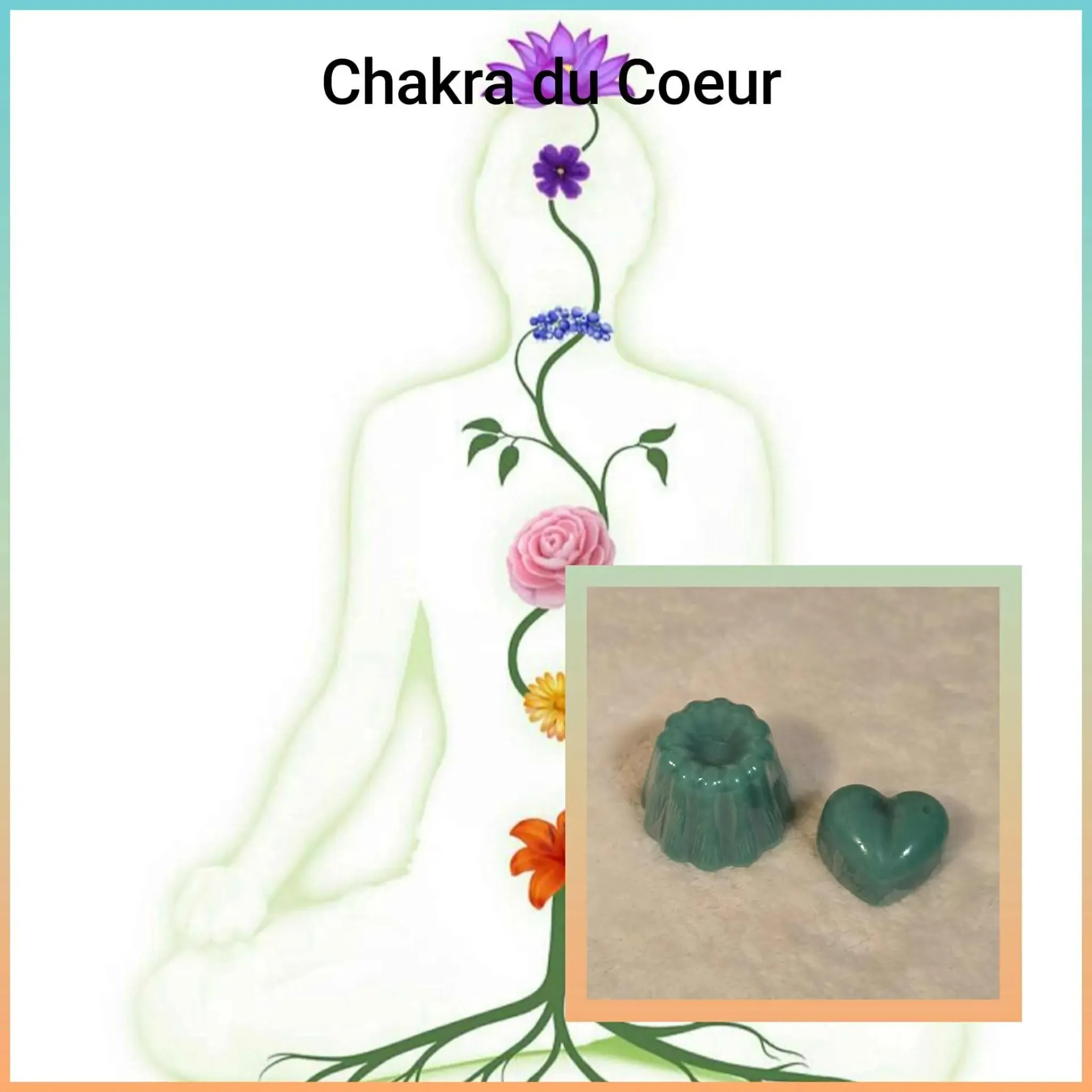 Fondant parfumé Chakra N°4 "Cœur" couleur vert avec les parfums Abricot /romarin et Rose vanillée (petit 6 gr, Abricot/romarin)
