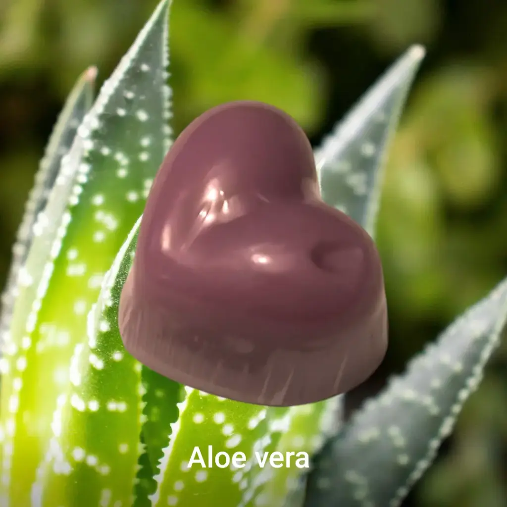 Fondant Aloé Vera (petit 6 gr)