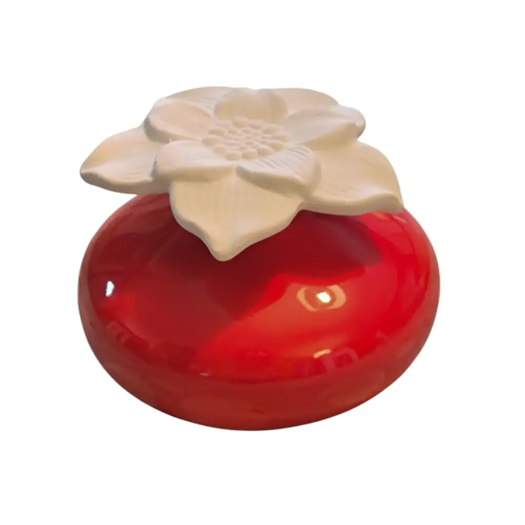 Diffuseur par Capillarité pour Parfums d'Ambiances  (rouge)