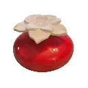 Diffuseur par Capillarité pour Parfums d'Ambiances 