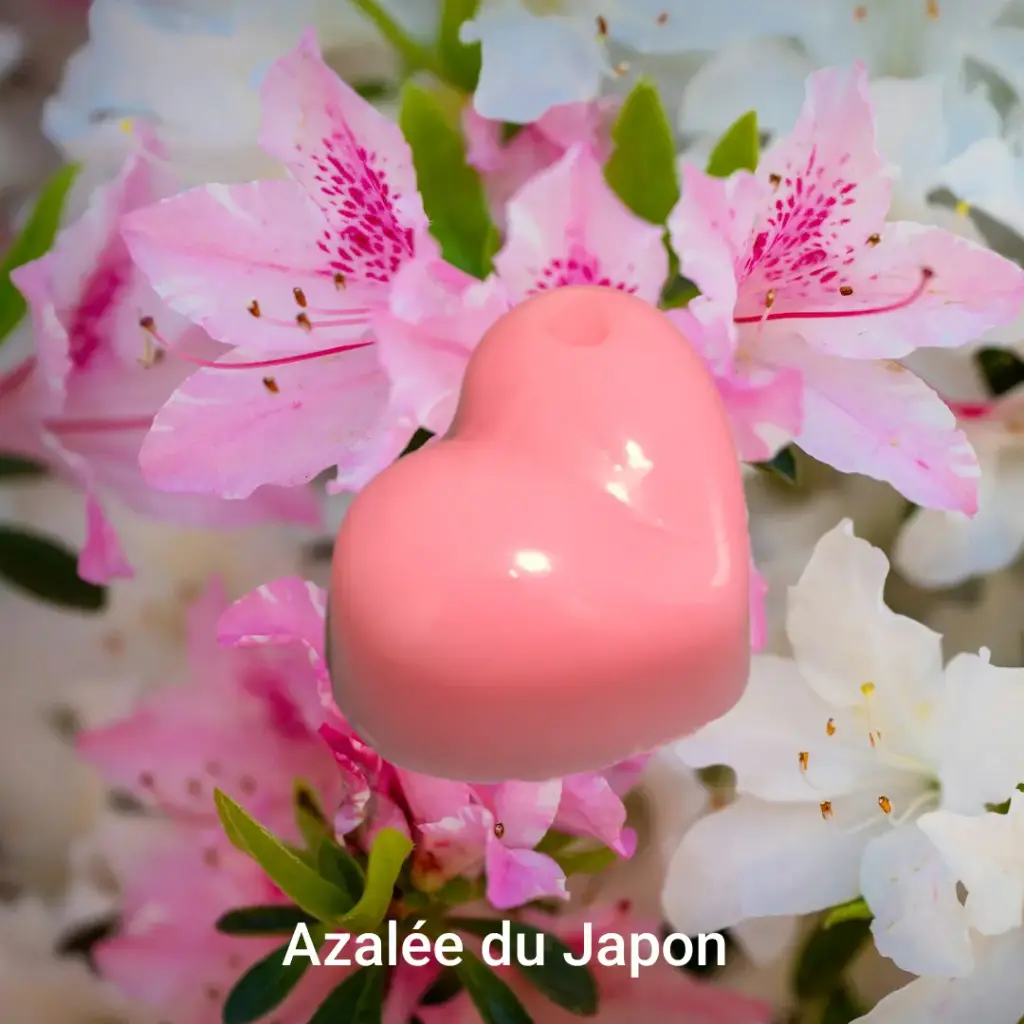 Fondant Azalée du Japon * (petit 6 gr)