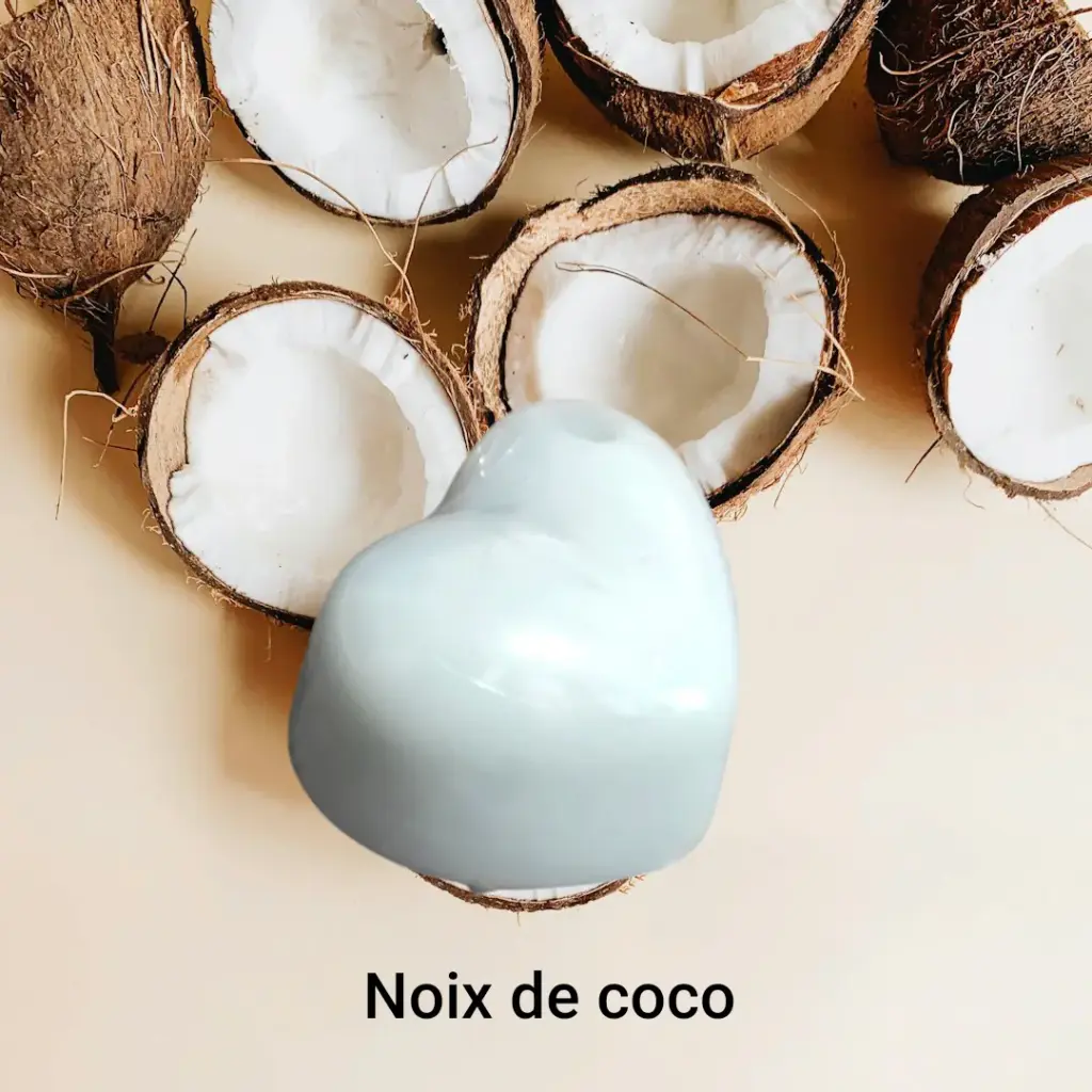 Fondant Noix de coco (petit 6 gr)