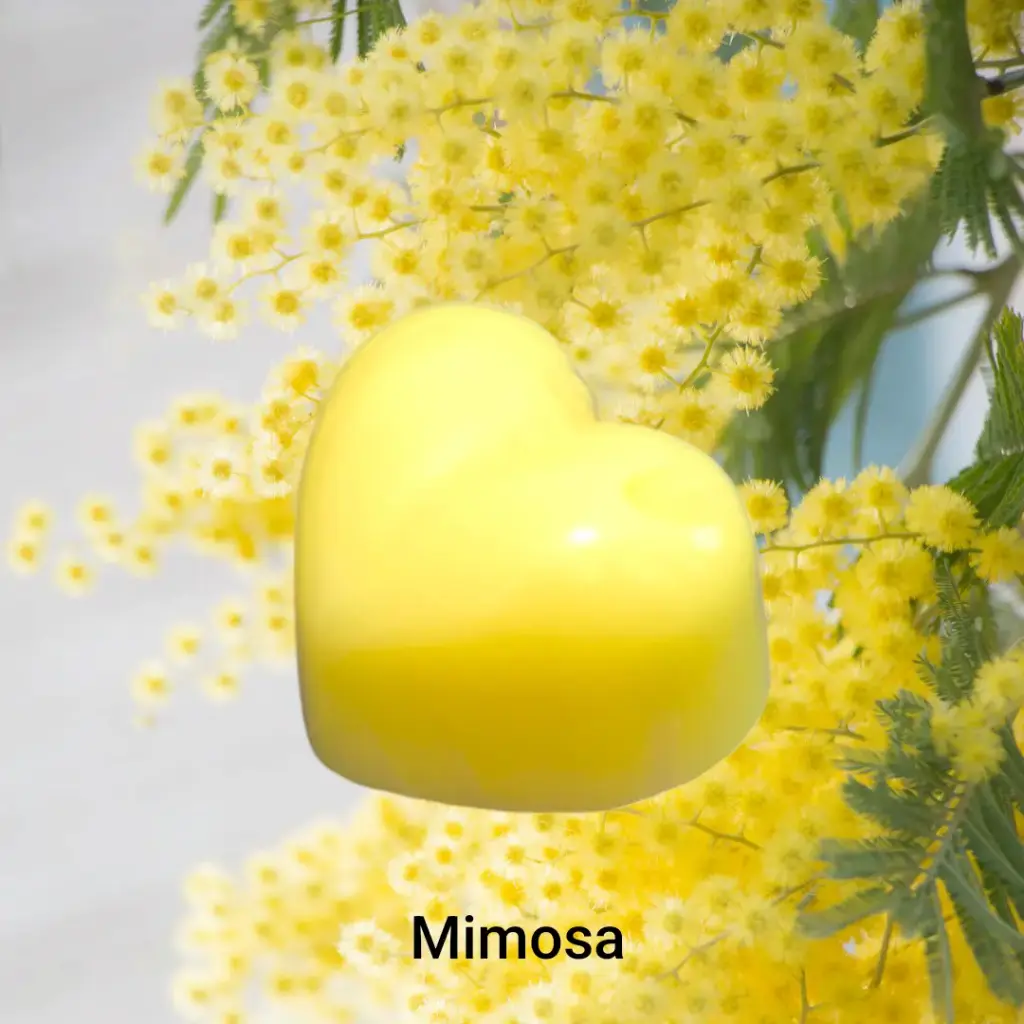Fondant Mimosa (petit 6 gr)